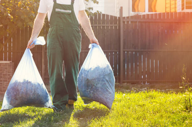 Best Furniture Removal  in Greensboro, AL