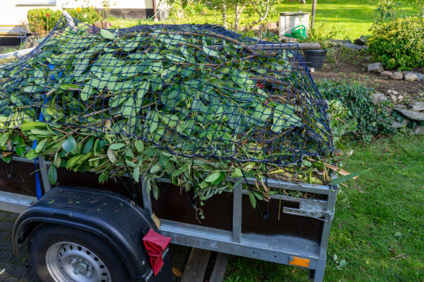 Best Moving and Downsizing Cleanouts  in Greensboro, AL